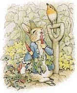 Peter Rabbit